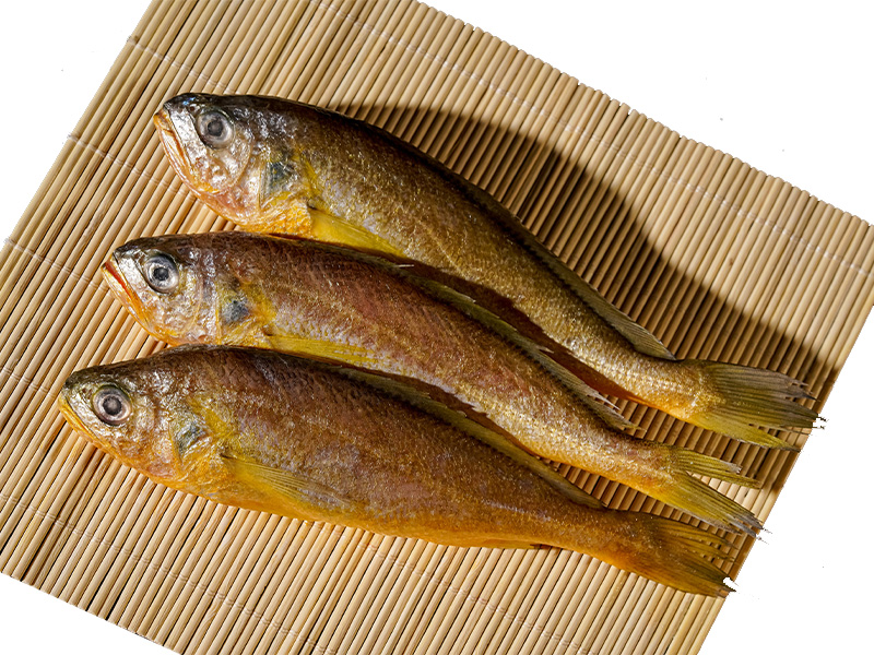 野生黃花魚(yú)