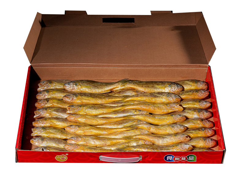 野生黃花魚(yú)