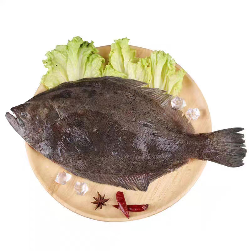 偏口魚